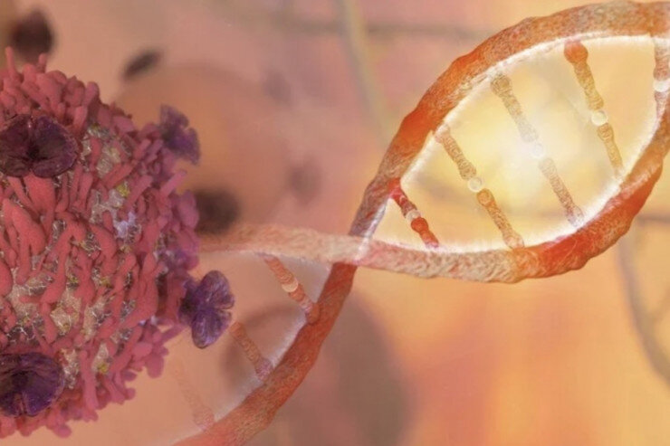 Barmaq izindən xərçəng xəstəliyiniaşkar etmək mümkün olacaq