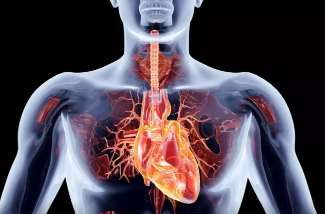 Ürək dayanmasının erkən əlamətləri - bir gün əvvəl nə hiss edirsiniz?