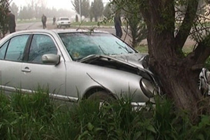 Zaqatalada yeniyetmə atasının maşınını qaçırıb ağaca çırpdı, yaralananlar var