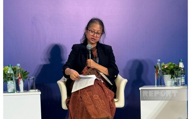 Vitse-prezident: "ADB-nin yeni əməliyyat modeli iqlim və özəl sektora diqqət yetirir"