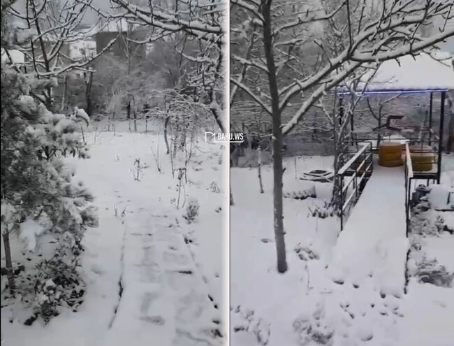 Lerikə qar yağdı, hər yan ağ örpəyə büründü - VİDEO
