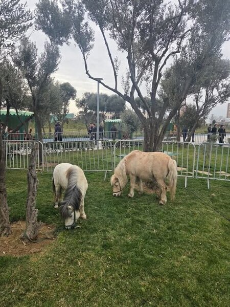 Paytaxtda möhtəşəm Novruz şənliyi