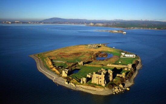 Ada üçün kral axtarılır