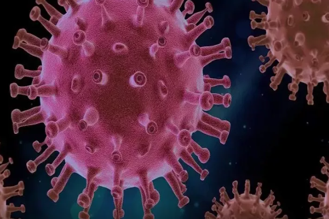 Evi təmizləyəndə çıxan toz da hantavirus yarada bilər