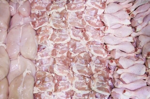 Bakıda it-pişik yemi olan toyuqlar əhaliyə satılır