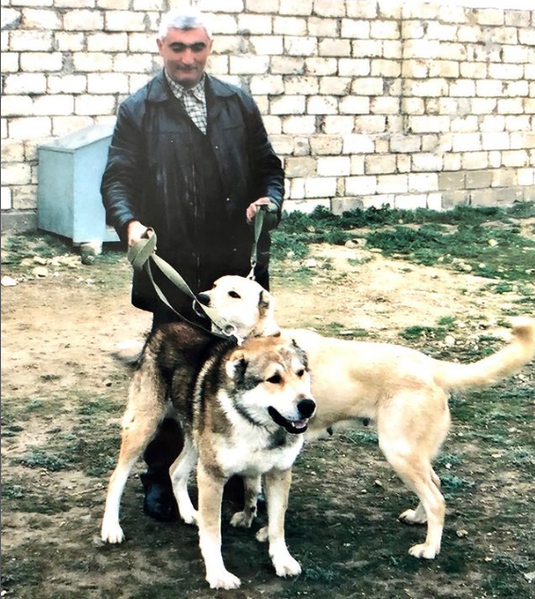 MTN-in qalmaqallı polkovniki vəfat etdi - FOTO