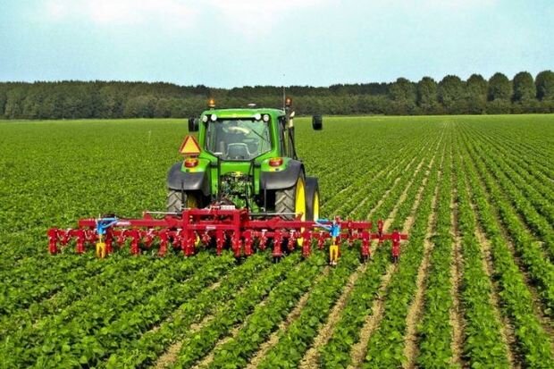 Kənd təsərrüfatı ilə bağlı müəyyən güzəştlər ediləcək? - ARAŞDIRMA