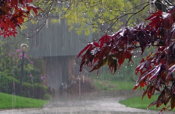 Yağıntılı hava şəraiti nə vaxtadək davam edəcək?