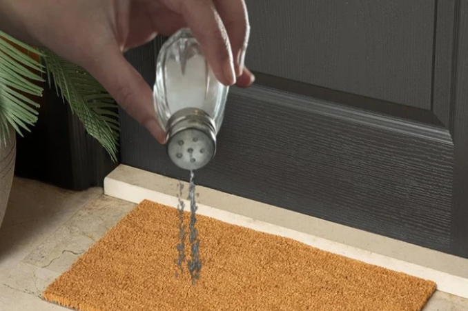 Hər həftə QAPIYA DUZ SƏPİN: 20 illik evdar qadınlar BU SİRRİ HEÇ KİMƏ DEMİR