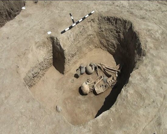 Goranboyda eradan əvvələ aid insan skeletləri aşkarlandı - FOTO