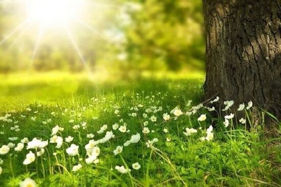 Həftənin ilk günü hava necə olacaq? - PROQNOZ