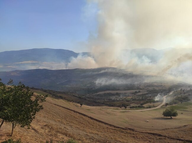 Şabrandakı yanğında 13 ev yandı - FOTOLAR