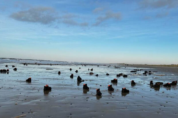 Çimərlik ayaqqabılarla doldu – FOTO/VIDEO