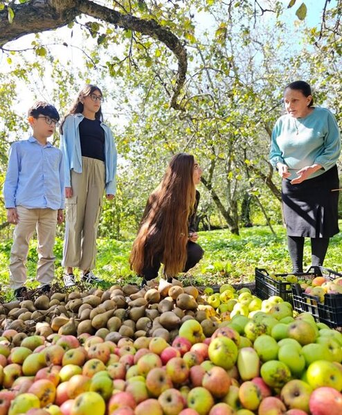 Arzu Əliyeva şamaxılı ailənin qonağı oldu - Fotolar
