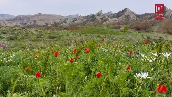 Azərbaycanda Kapadokya ilə müqayisə edilən yeni milli park yaradılır - FOTO