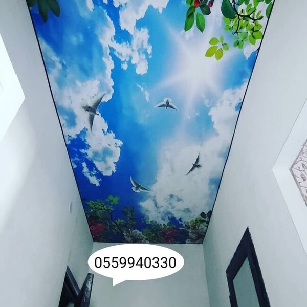 3D, 5D dartma tavan tavanlar, 5D divar kağızları - FOTOLAR