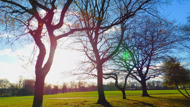 Dekabrda hava necə olacaq? - AYLIQ PROQNOZ