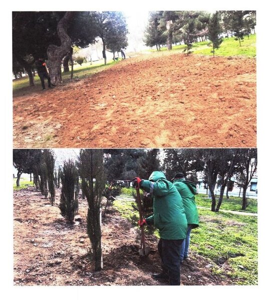 "Zorge" parkının içindən yol salınıb? - Fotolar