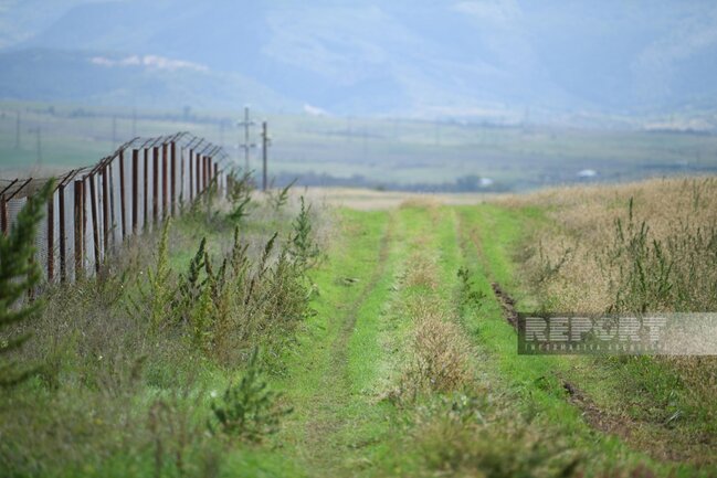 Xocalıda narkotik plantasiyası aşkarlandı - FOTO