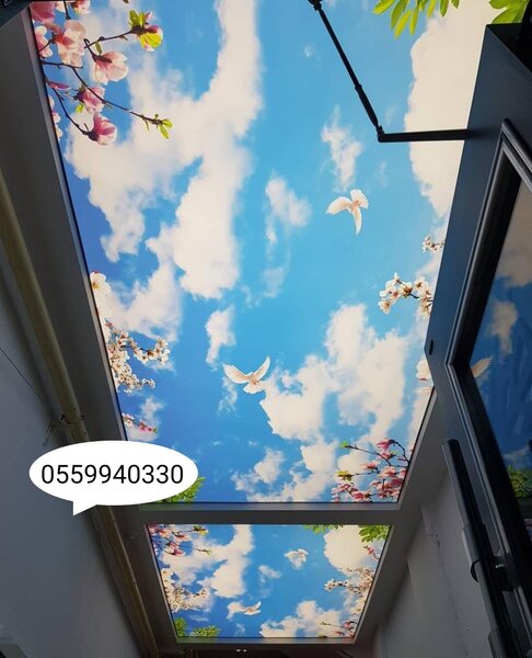 3d 5d Dartma tavan və foto aboyların topdan satış mərkəzi!