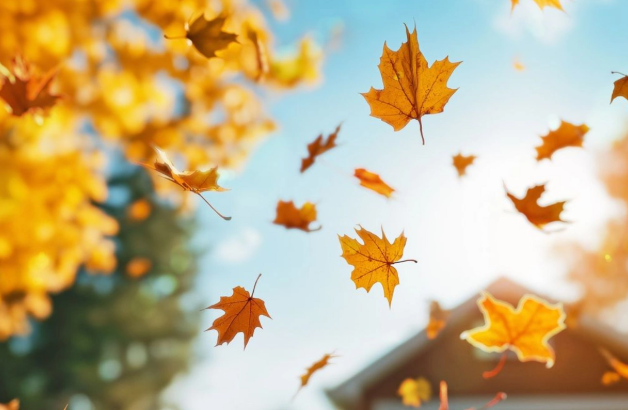 Leysan, dolu, 27 dərəcə isti... - Sabahın hava proqnozu