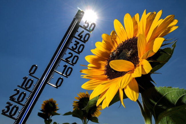 Sabah 35° isti olacaq