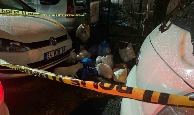 Zibil konteynerində yeni doğulmuş körpə tapılıb