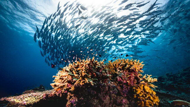 Dünya okeanları və dənizlər kimə məxsusdur? - Cavab heç də sadə deyil