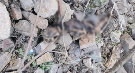 Liftin yaxınlığında insan skeleti tapıldı