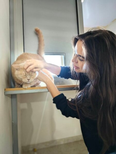 Leyla Əliyeva IDEA Heyvanlara Qayğı Mərkəzində - Fotolar