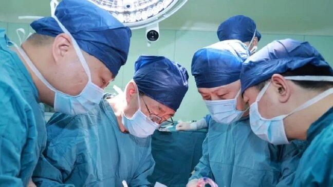 Donuzdan insana qaraciyər köçürüldü – Tibb elmində YENİLİK