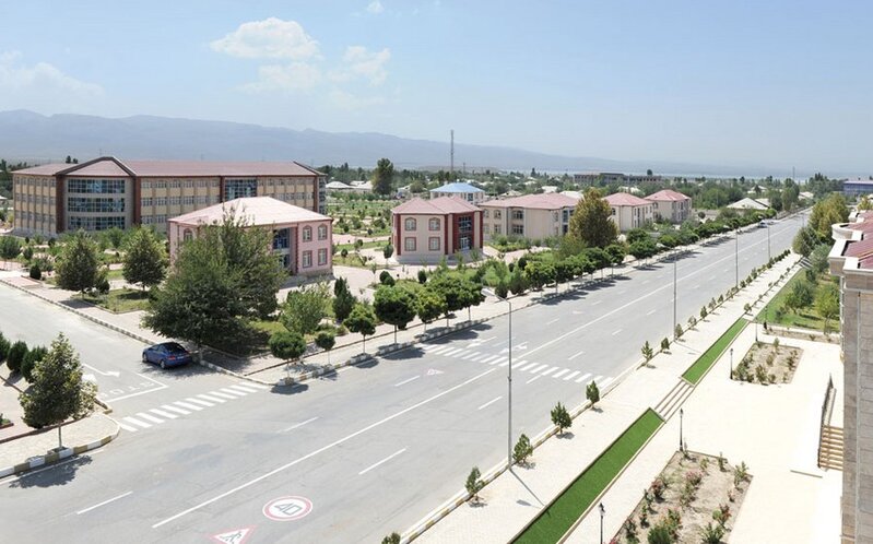 DİN-dən görüntüləri yayılan uşaqlarla bağlı - Açıqlama