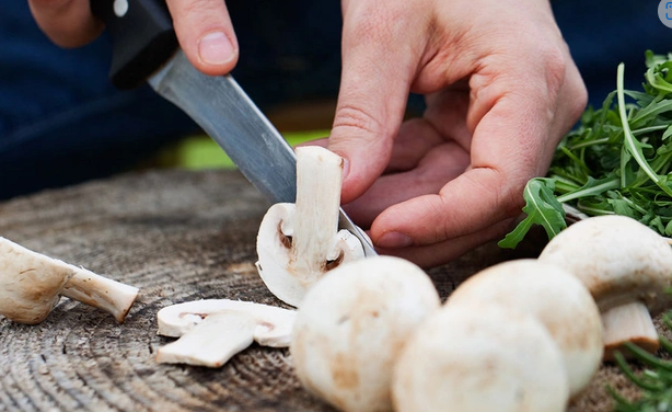 Göbələyin hansı fayda və zərərləri var?
