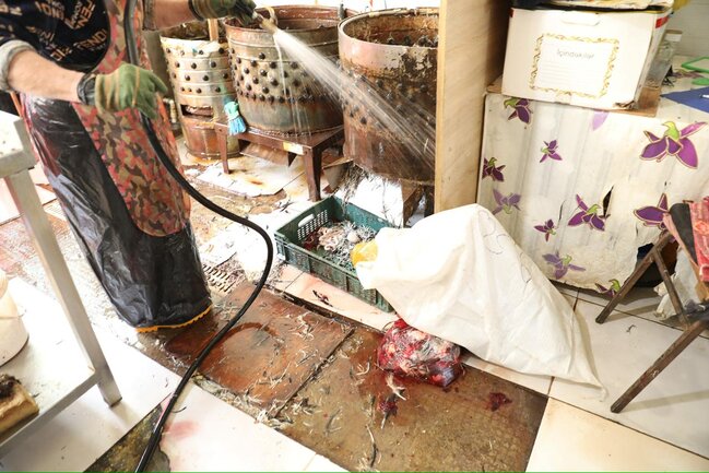 "Vasmoy" bazarında antisanitar vəziyyət - Məsuliyyəti kim daşıyır?+Video