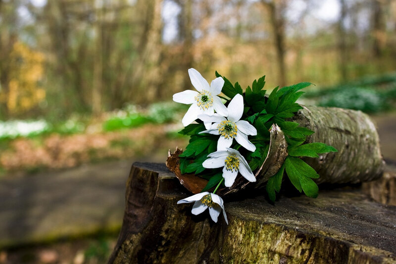 8 Mart Günü hava necə olacaq?