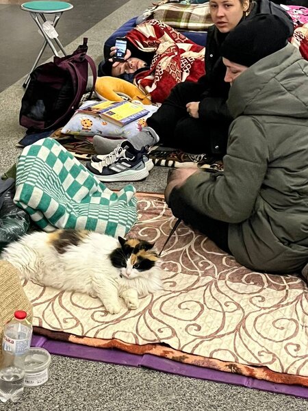 Ukrayna metrosu bu gün... - Fotolar