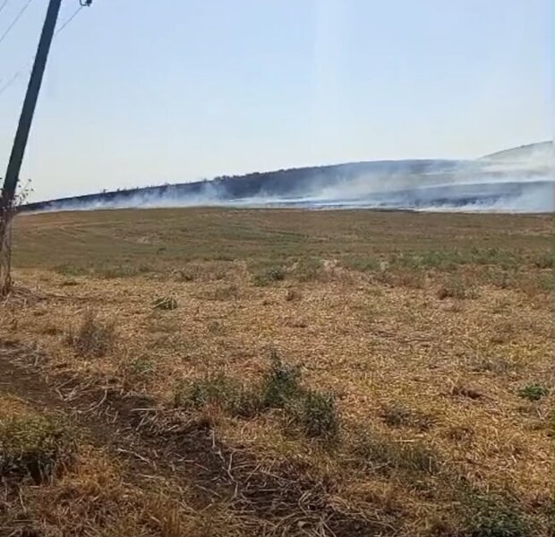 4 rayonda yanğına səbəb olanlar məsuliyyətə cəlb olundu