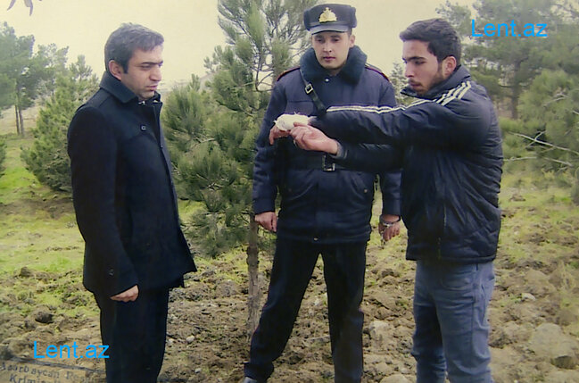 Küçədə cinsi əlaqədə olan avtobus sürücüsünü öldürdülər - Bakıda ŞOK CİNAYƏT