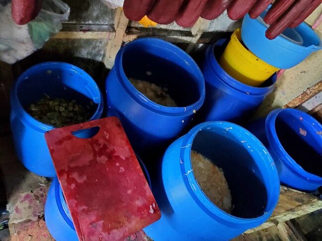 Bazarda satılan dana əti basdırmasında at DNT-si aşkarlandı - Fotolar