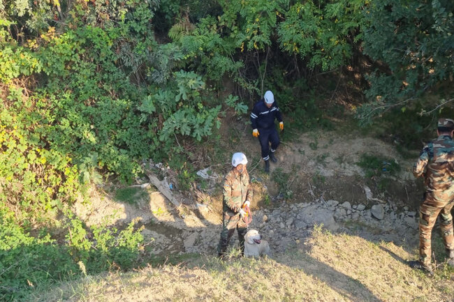 Azərbaycanda 3 yaşlı uşaq meşədə itkin düşdü