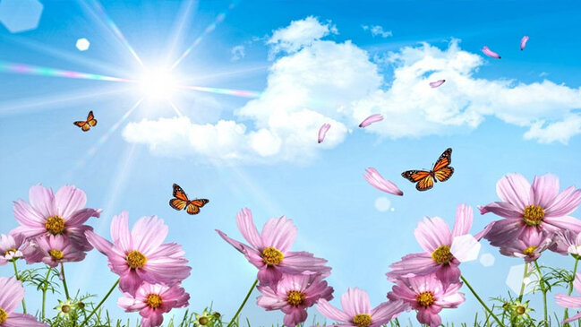 Bu gün Novruzun üçüncü - Yel çərşənbəsidir