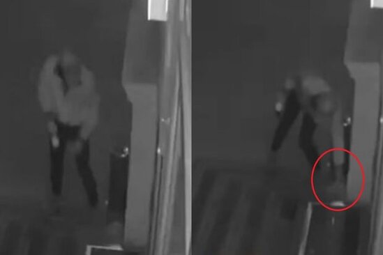 Bakıda itlərin yemək qabını oğurlayan şəxs kameraya düşdü - VİDEO