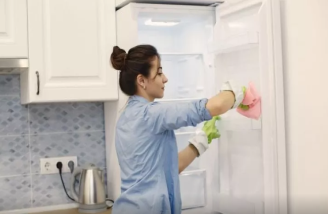 Soyuducuda təravətin sirri - Pis qoxulardan qurtulun