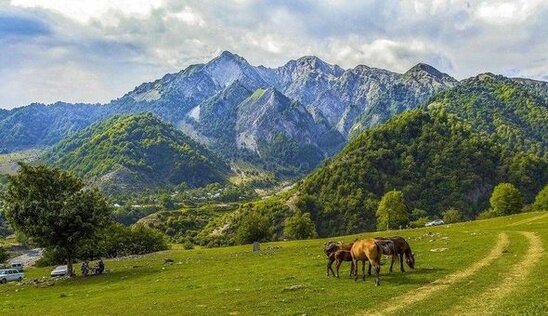 Yayın gəlişi ilə rusiyalıların Azərbaycana səfəri KƏSKİN ARTIB - FOTO