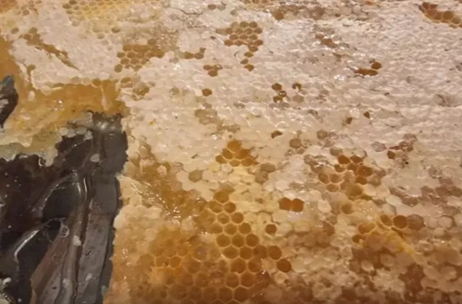 Hansı bal arıqlamağa kömək edir?