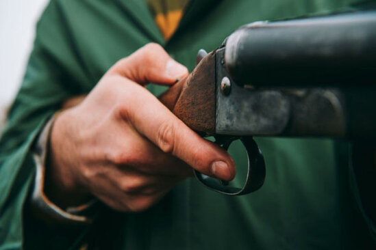 Pişiyi vurmaq İSTƏDİ: hamilə qadını GÜLLƏLƏDİ