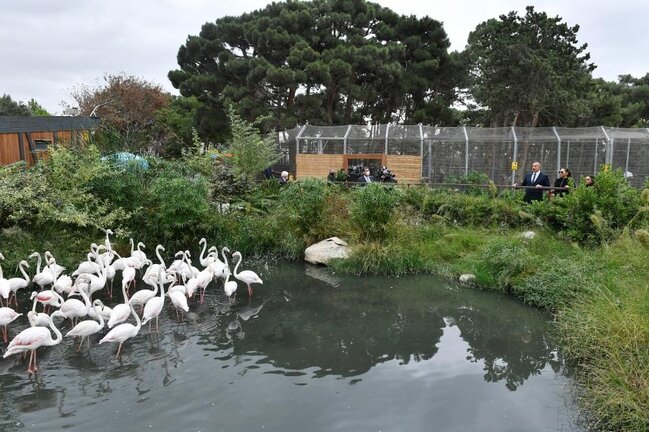 Prezidentlə ailəsi zooparkın açılışında - FOTOLAR