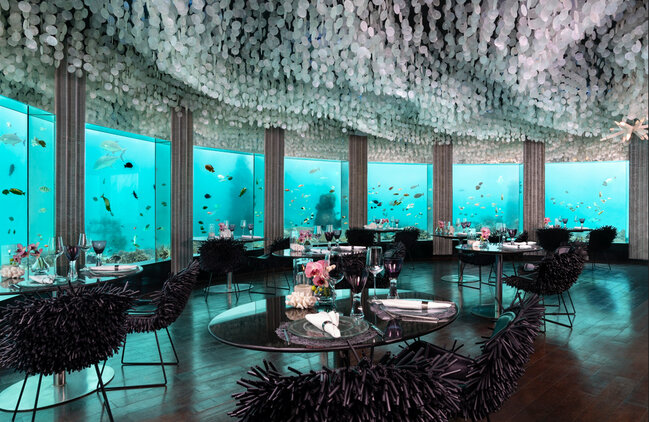 Maldiv adalarında azərbaycanlı turistlər üçün xüsusi təklif - FOTOLAR