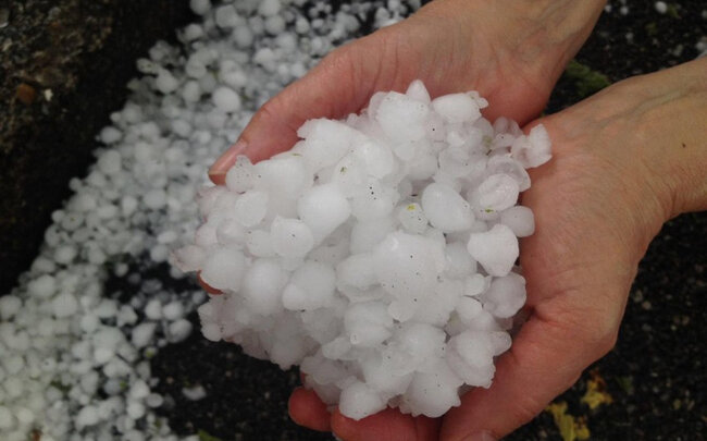 Goranboyun dağ kəndlərinə güclü dolu yağıb, təsərrüfata zərər dəyib