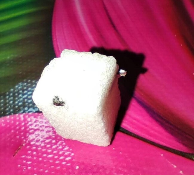 "Ləzzət" doğranmış qənddən dəmir çıxdı